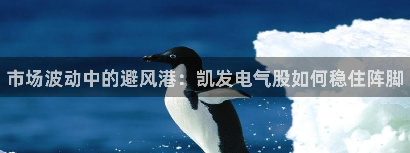 美狮贵宾会注册：市场波动中的避风港：凯发电气股如何稳住阵脚