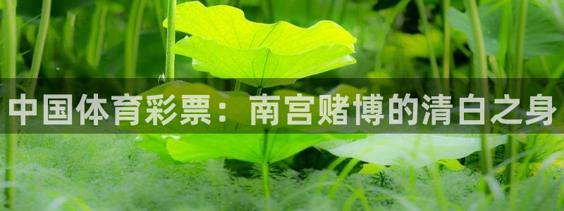 壹号大舞台有梦你就来：中国体育彩票：南宫赌博的清白之身