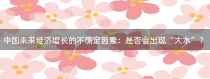 美狮贵宾会app新版上线体验.游戏更新入口.中国：中国未来经济增长的不确定因素：是否会出现“大水”？