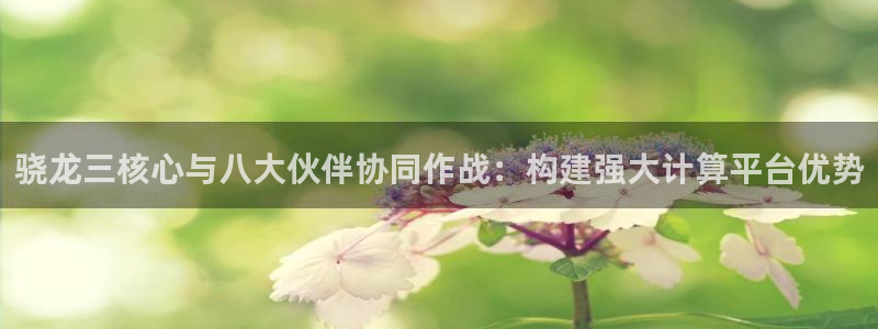 美狮贵宾会官网登录：骁龙三核心与八大伙伴协同作战：构建强大计算平台优势