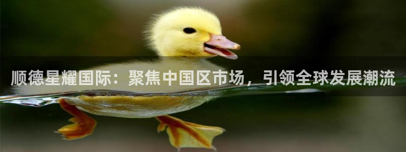 壹号大舞台入口：顺德星耀国际：聚焦中国区市场，引领全球发展潮流