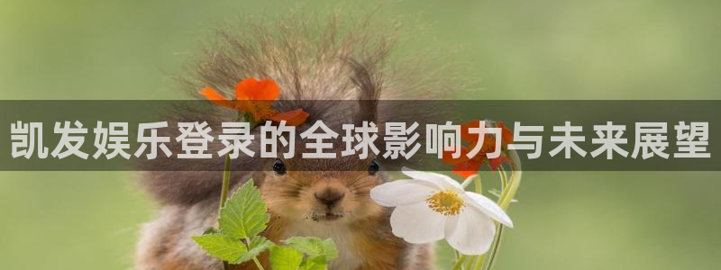 美狮贵宾会下载官网入口在哪：凯发娱乐登录的全球影响力与未来展望