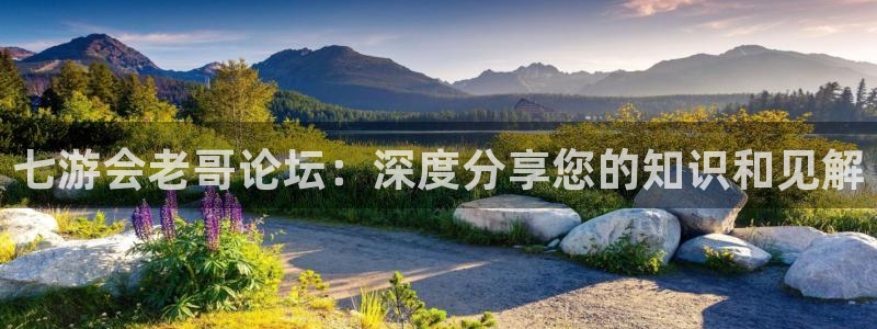 美狮贵宾会能退款吗：七游会老哥论坛：深度分享您的知识和见解