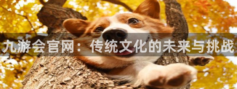 美狮贵宾会.ccmpc正版：九游会官网：传统文化的未来与挑战