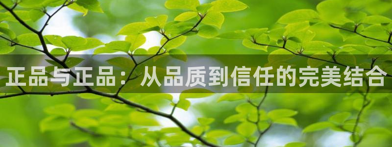 美狮贵宾会免费注册：正品与正品：从品质到信任的完美结合