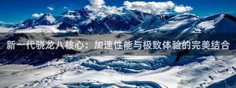 美狮贵宾会是啥：新一代骁龙八核心：加速性能与极致体验的完美结合