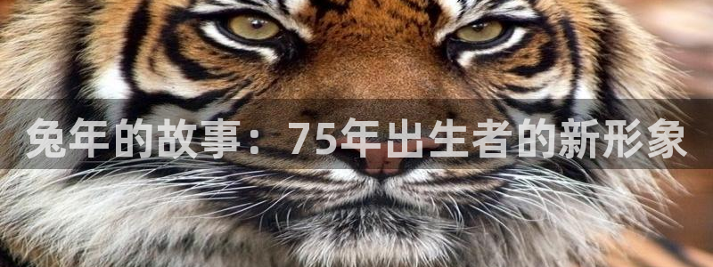 美狮贵宾会电子游戏官网：兔年的故事：75年出生者的新形象