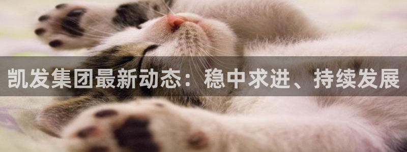 美狮贵宾会下载入口：凯发集团最新动态：稳中求进、持续发展