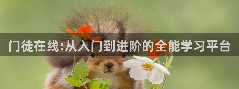 壹号电子娱乐app下载最新版：门徒在线:从入门到进阶的全能学习平台