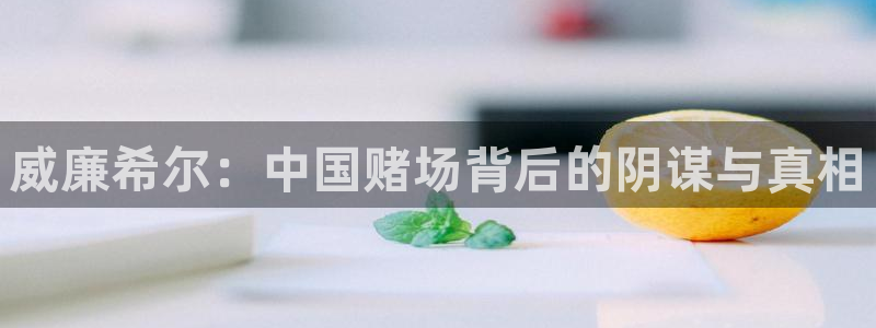 美狮贵宾会平台官网入口下载：威廉希尔：中国赌场背后的阴谋与真相