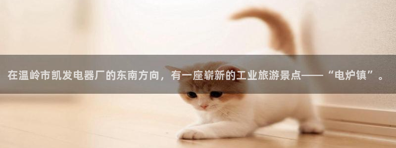 美狮贵宾会.com：在温岭市凯发电器厂的东南方向，有一座崭新的工业旅游景点——“电炉镇”。
