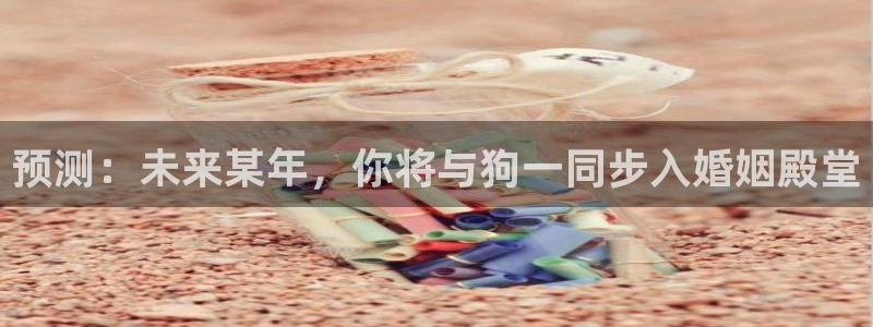 壹号平台娱乐：预测：未来某年，你将与狗一同步入婚姻殿堂