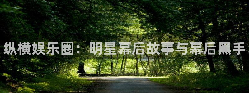 美狮贵宾会会员登录：纵横娱乐圈：明星幕后故事与幕后黑手