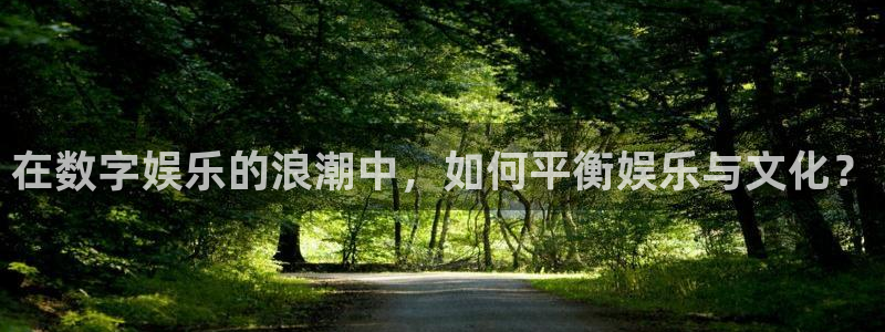 美狮贵宾会是什么平台：在数字娱乐的浪潮中，如何平衡娱乐与文化？