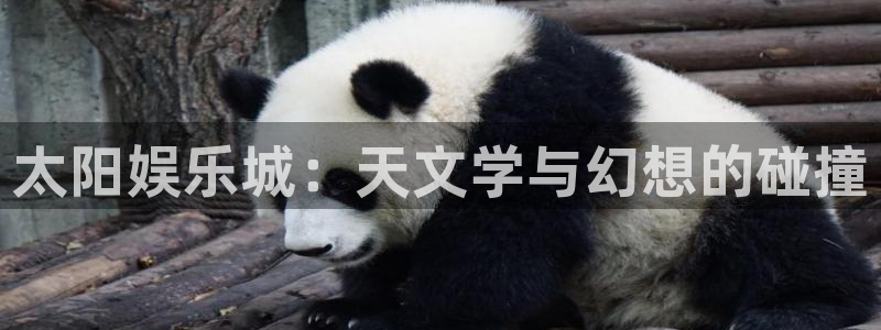 美狮贵宾会下载官网入口在哪：太阳娱乐城：天文学与幻想的碰撞