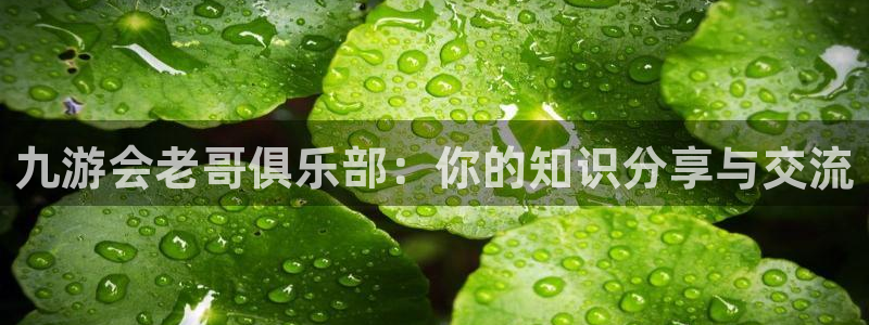 美狮贵宾会登录中心：九游会老哥俱乐部：你的知识分享与交流