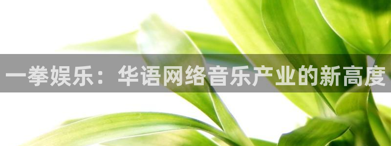 壹号top娱乐：一拳娱乐：华语网络音乐产业的新高度