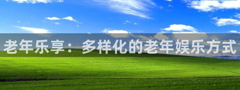 美狮贵宾会.ccm：老年乐享：多样化的老年娱乐方式