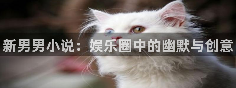 美狮贵宾会,apk：新男男小说：娱乐圈中的幽默与创意