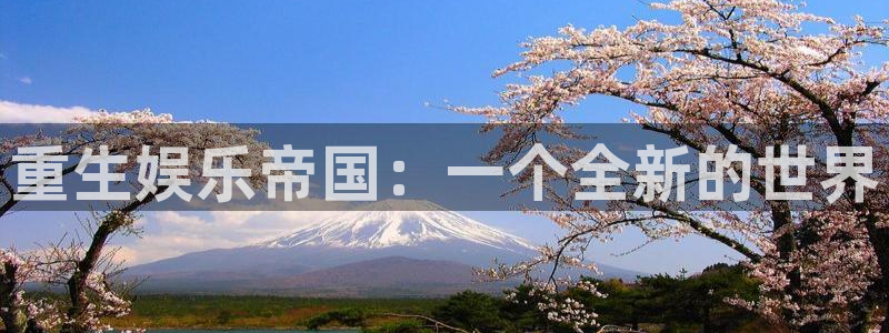 美狮贵宾：重生娱乐帝国：一个全新的世界