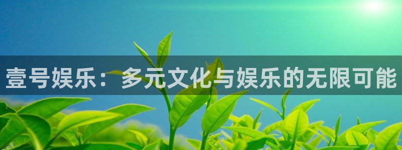 美狮贵宾会网站登录流程：壹号娱乐：多元文化与娱乐的无限可能