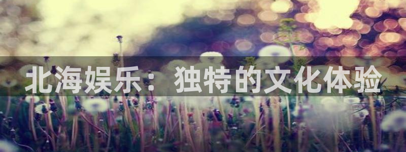 壹号电子娱乐app：北海娱乐：独特的文化体验