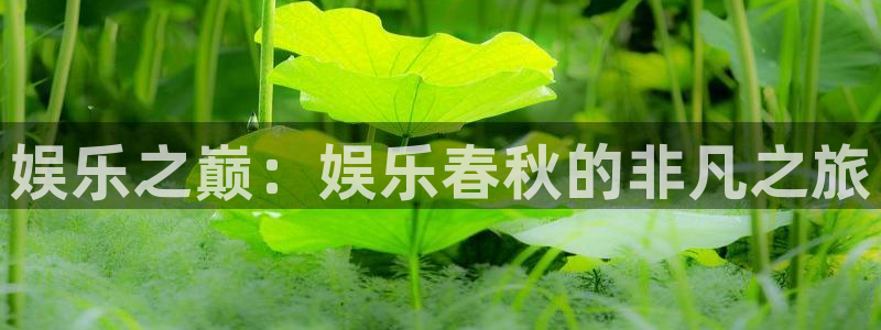 壹号top娱乐：娱乐之巅：娱乐春秋的非凡之旅