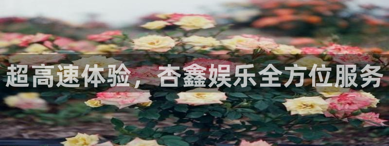 美狮贵宾会下载入口：超高速体验，杏鑫娱乐全方位服务