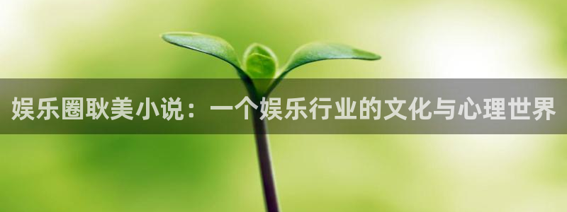 美狮贵宾会怎么下载：娱乐圈耿美小说：一个娱乐行业的文化与心理世界