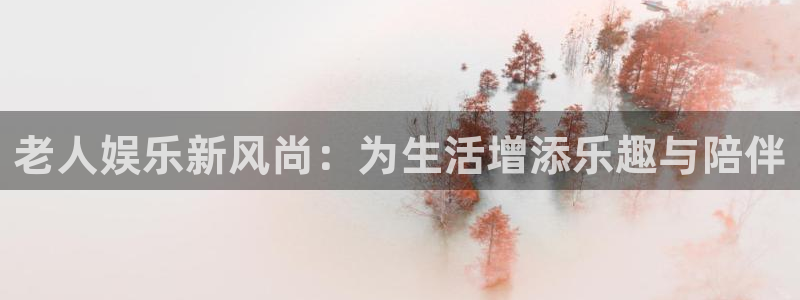 美狮贵宾会游戏试玩：老人娱乐新风尚：为生活增添乐趣与陪伴