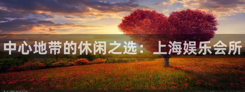 美狮贵宾会怎么下载：中心地带的休闲之选：上海娱乐会所